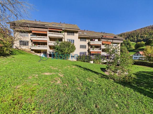 Haus kaufen in Mümliswil-Ramiswil, Amtei Thal-Gäu