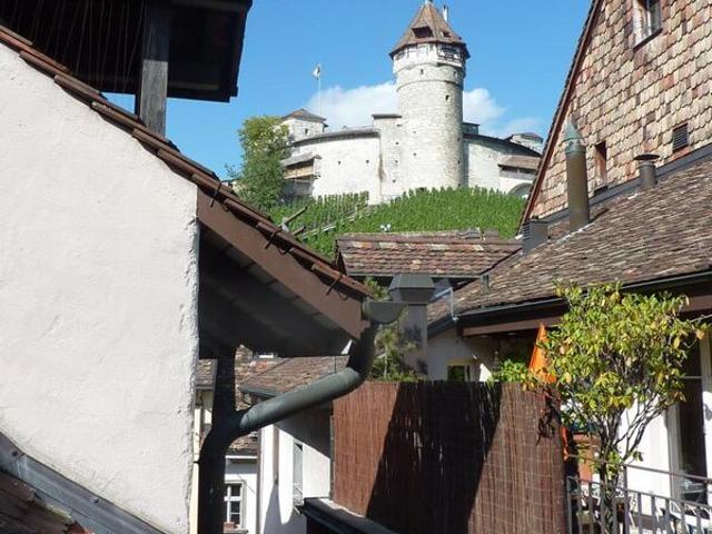 Apartment mieten in Schaffhausen
