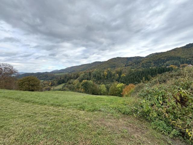 Grundstück kaufen in Oberhaag, Steiermark