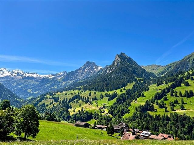 Wohnung kaufen in Reichenbach im Kandertal, Bern