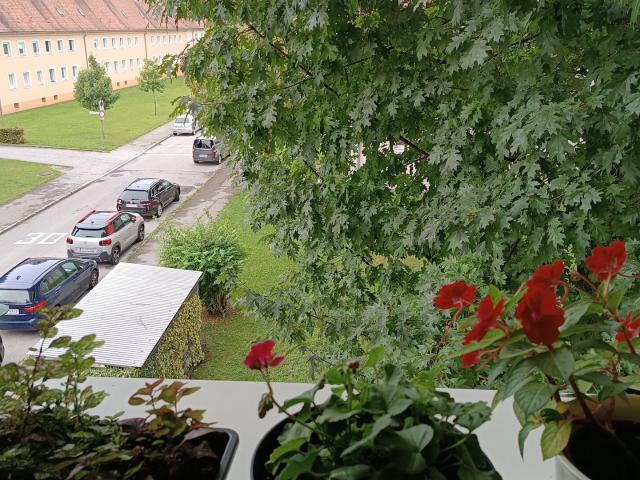 Apartment mieten in Münichholz, Steyr