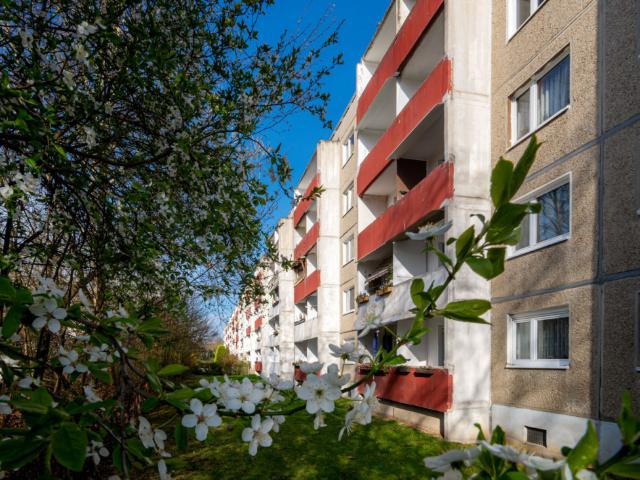 Apartment mieten in Neustadt, Halle