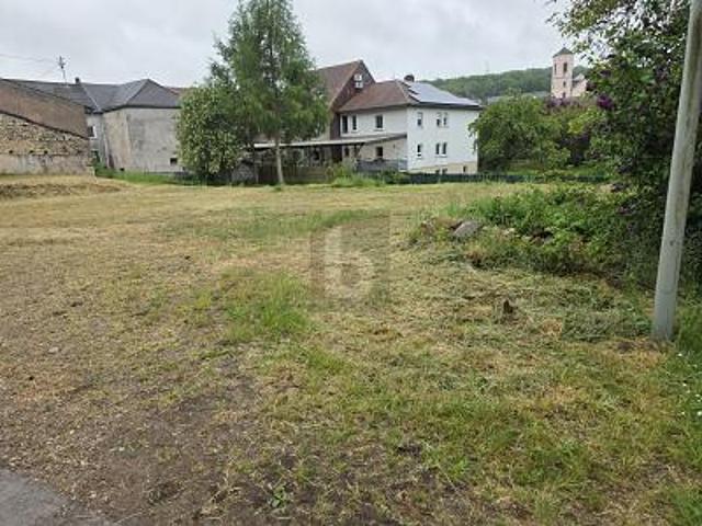 Landwirtschaft kaufen in Borg, Perl