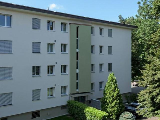 Apartment mieten in Hirzenbach, Zürich