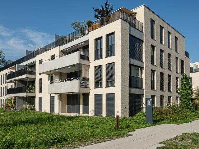 Wohnung mieten in Bremgarten (AG), Aargau