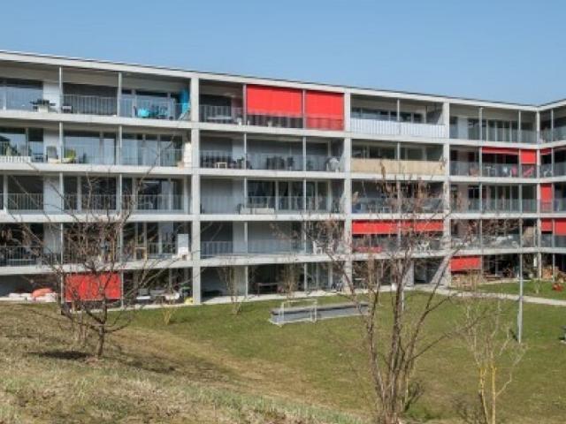 Wohnung mieten in Wetzikon (ZH), Zürich