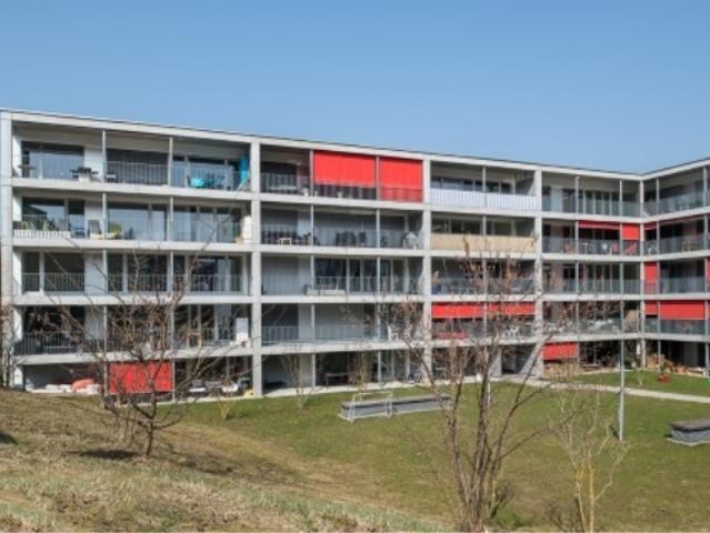 Wohnung mieten in Wetzikon (ZH), Zürich