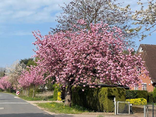 Apartment mieten in Hasloh, Schleswig-Holstein