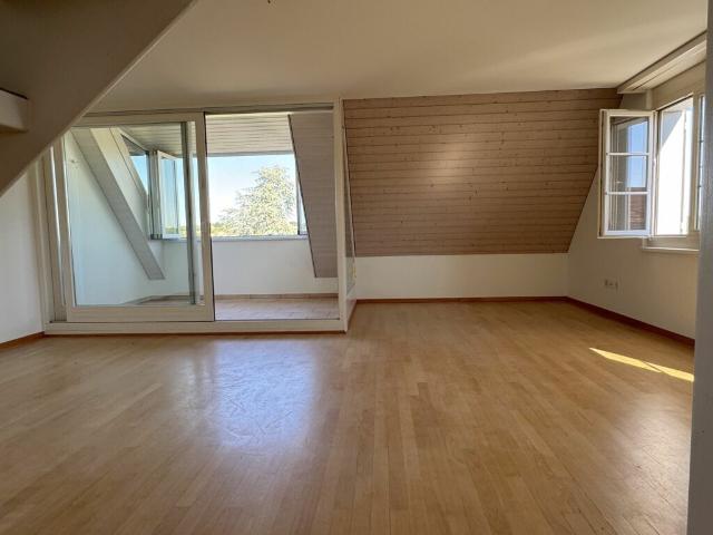 Wohnung mieten in Allschwil, Bezirk Arlesheim