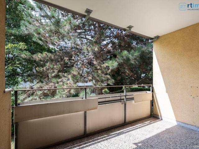 Apartment kaufen in Langenzersdorf, Niederösterreich