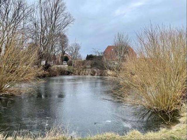 Erdgeschosswohnung kaufen in Burgstaaken, Fehmarn