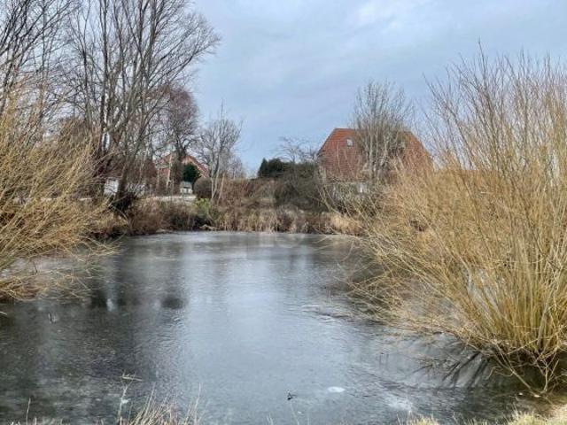 Erdgeschosswohnung kaufen in Fehmarn, Schleswig-Holstein