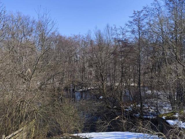 Apartment kaufen in Wagna, Steiermark