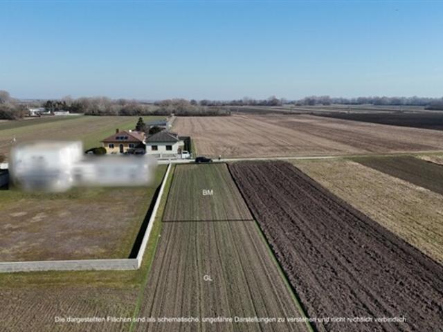 Grundstück kaufen in Nickelsdorf, Burgenland