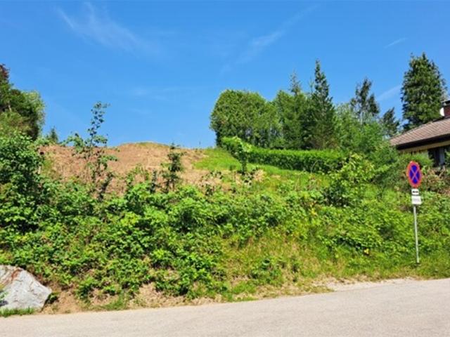 Grundstück kaufen in Alland, Niederösterreich