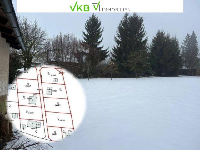 Immobilie kaufen in Alberndorf in der Riedmark, Oberösterreich