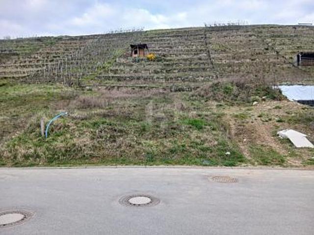Landwirtschaft kaufen in Walheim, Landkreis Ludwigsburg
