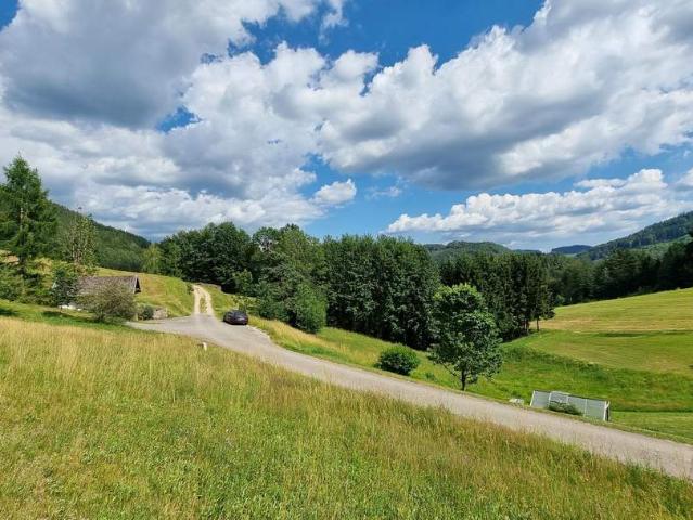 Grundstück kaufen in Freistadt, Oberösterreich