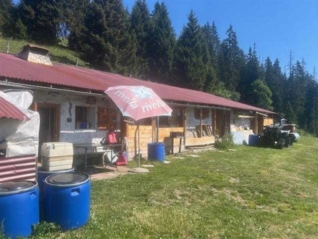 Haus kaufen in Ormont-Dessous, Waadt