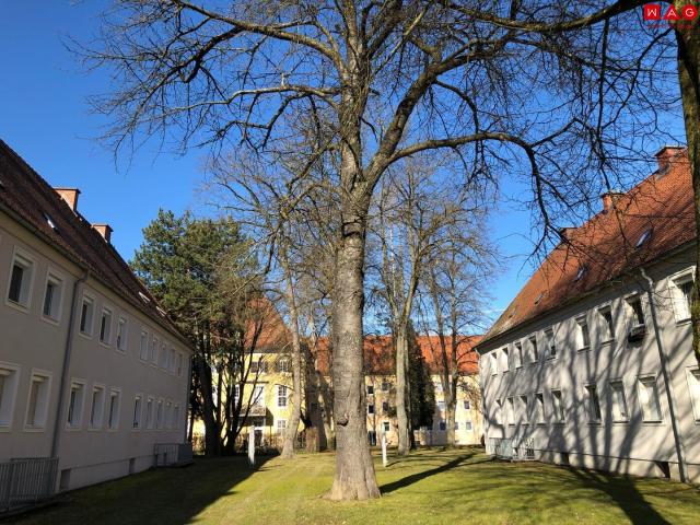 Apartment mieten in Zwischenbrücken, Steyr