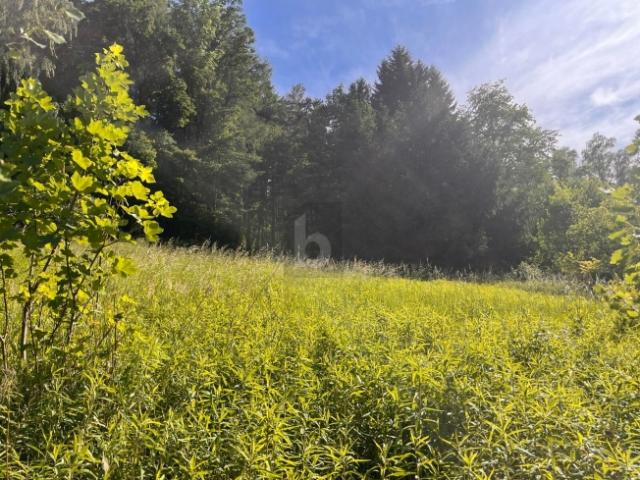 Grundstück kaufen in Schärding, Oberösterreich