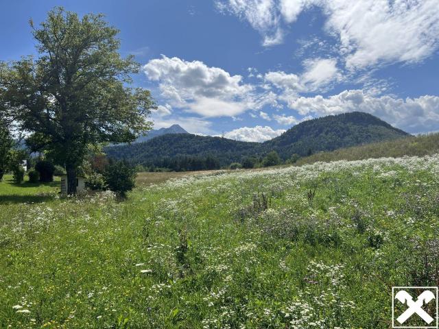 Immobilie kaufen in Sankt Lambrecht, Rosegg