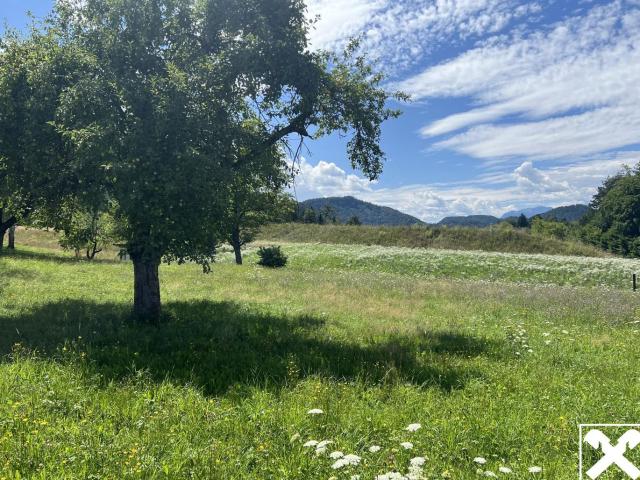 Grundstück kaufen in Rosegg, Kärnten