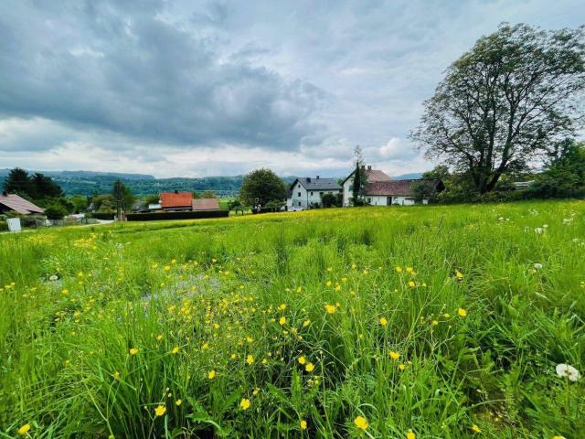 Immobilie kaufen in Ferlach, Kärnten
