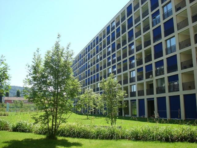 Wohnung mieten in Einigen, Zürich