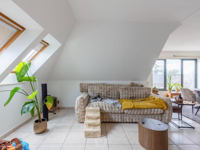 Appartement location à Sint-gillis-waas, Oost-Vlaanderen