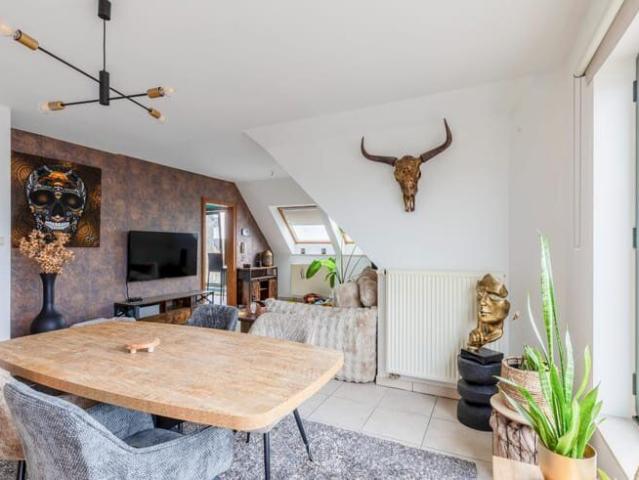 Kot location à Sint-gillis-waas, Oost-Vlaanderen