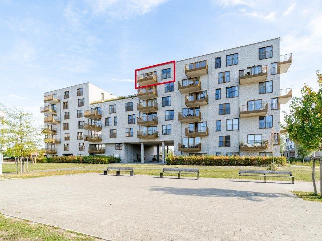Kot location à Flamigantenwijk, Lokeren