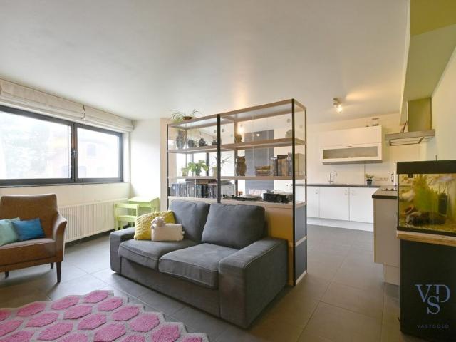Appartement location à Zingem, Oost-Vlaanderen