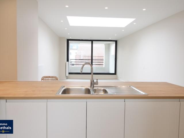 Appartement location à Montaigu-zichem, Brabant