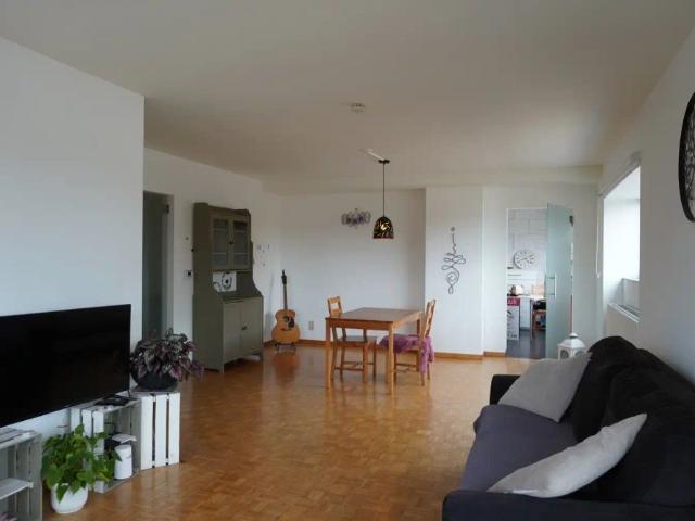Appartement location à Beringen, Limburg