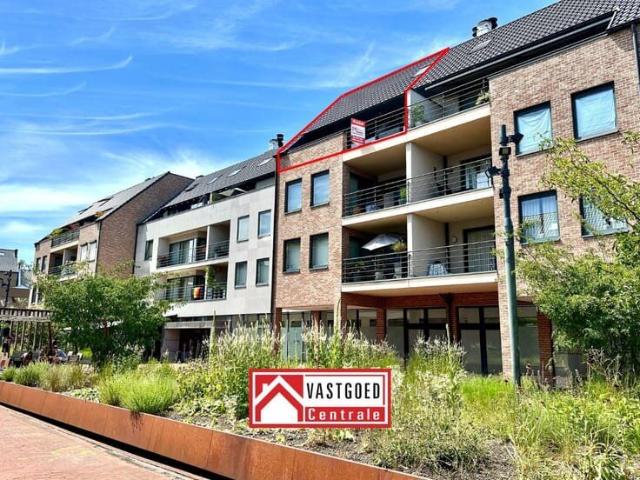Appartement location à Bilzen, Limburg