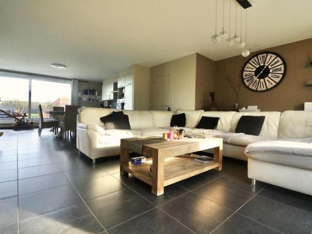 Maison location à Zomergem, Oost-Vlaanderen