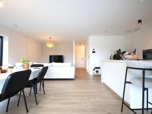 Appartement location à Gingelom