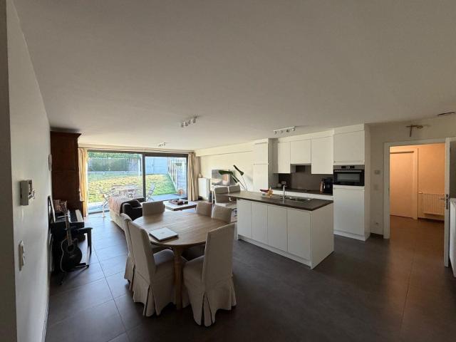 Kot location à Denderhoutem, Oost-Vlaanderen