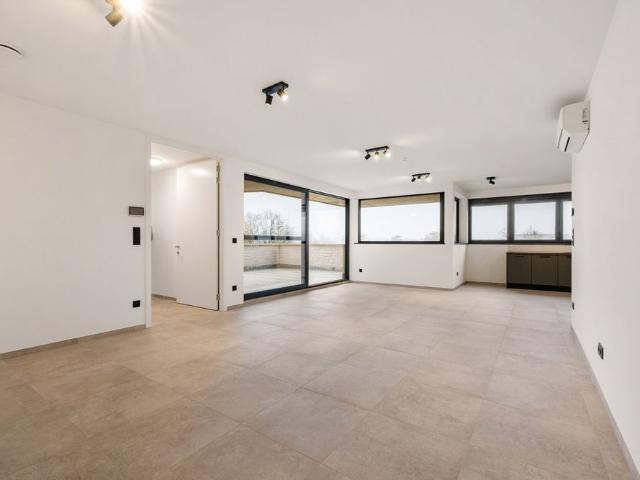 Appartement location à Zutendaal, Limburg