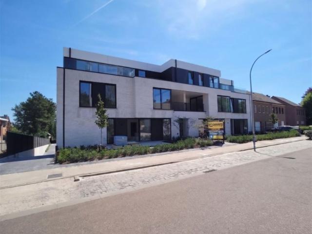 Appartement location à Putte, Antwerpen