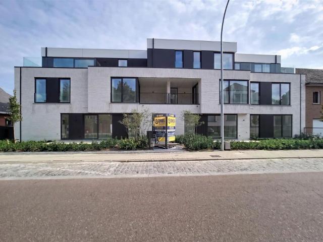 Appartement location à Putte, Antwerpen