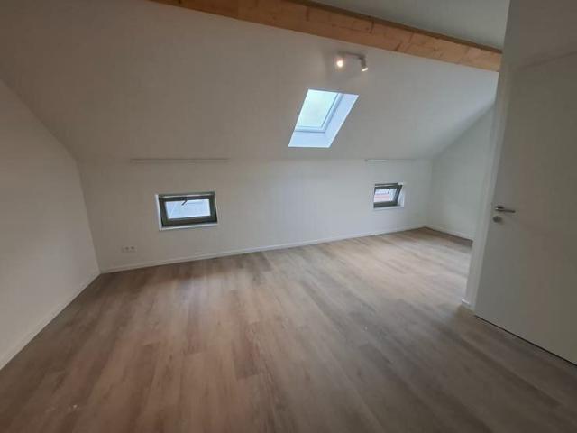 Kot location à Desteldonk, Oost-Vlaanderen
