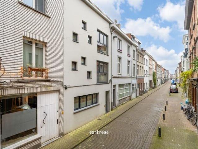 Kot location à Desteldonk, Oost-Vlaanderen
