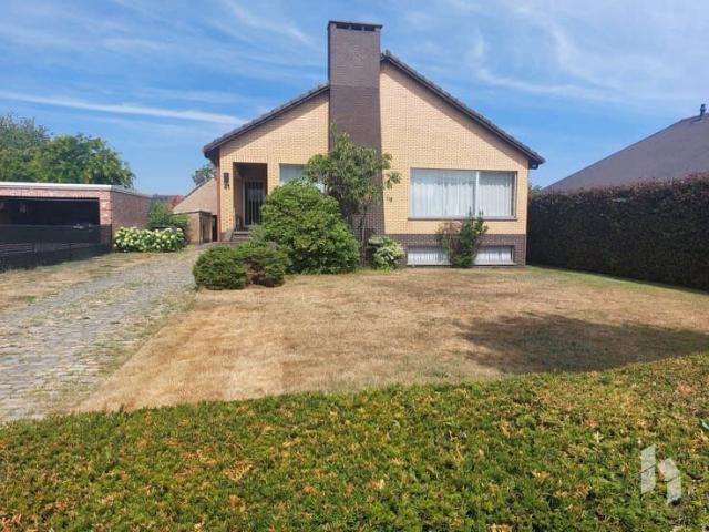 Maison location à Lommel, Limburg