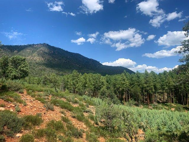 Land for sale in Gila, Arizona