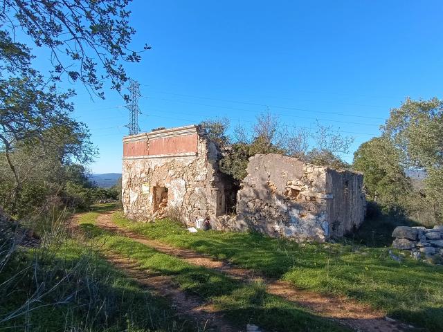Terreno venda em Loulé, Faro