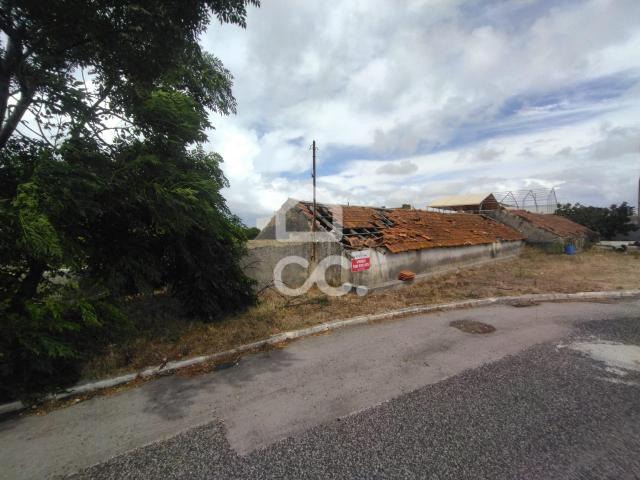 Terreno venda em Vieira de Leiria, Marinha Grande