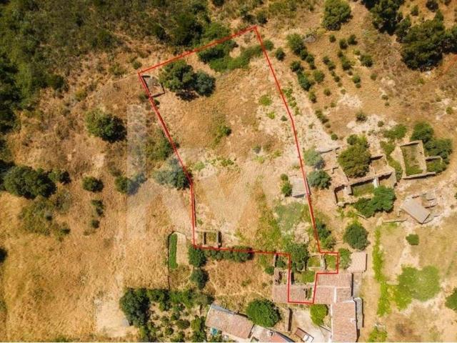 Quinta venda em Loulé, Faro