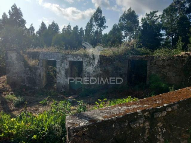 Quinta venda em Cossourado, Arcozelo